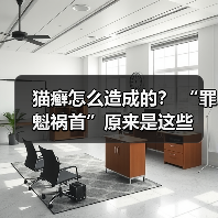 猫癣怎么造成的? “罪魁祸首”原来是这些(图4) 猫癣怎么造成的? “罪魁祸首”原来是这些(图4)