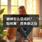 猫癣怎么造成的? “罪魁祸首”原来是这些(图3) 猫癣怎么造成的? “罪魁祸首”原来是这些(图3)