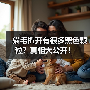 猫毛扒开有很多黑色颗粒?真相大公开!(图2) 猫毛扒开有很多黑色颗粒?真相大公开!(图2)