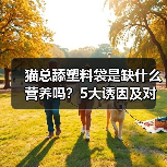 猫总舔塑料袋是缺什么营养吗?5大诱因及对应症状解析(图1) 猫总舔塑料袋是缺什么营养吗?5大诱因及对应症状解析(图1)