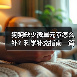 狗狗缺少微量元素怎么补?科学补充指南一篇讲清(图1) 狗狗缺少微量元素怎么补?科学补充指南一篇讲清(图1)
