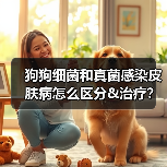 狗狗细菌和真菌感染皮肤病怎么区分&治疗？（图3）