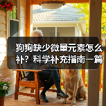 狗狗缺少微量元素怎么补?科学补充指南一篇讲清(图4) 狗狗缺少微量元素怎么补?科学补充指南一篇讲清(图4)