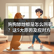 狗狗舔地板是怎么回事?这5大原因及应对方法主人必看(图4) 狗狗舔地板是怎么回事?这5大原因及应对方法主人必看(图4)