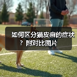 如何区分猫皮癣的症状？附对比图片（图4）