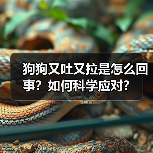 狗狗又吐又拉是怎么回事？如何科学应对？（图4）