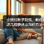 小猫拉肚子别慌，教你这几招快速止泻的方法（图2）