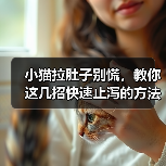 小猫拉肚子别慌，教你这几招快速止泻的方法