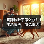 狗狗拉肚子怎么办?4步急救法,避免踩坑!(图2) 狗狗拉肚子怎么办?4步急救法,避免踩坑!(图2)
