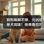 狗狗咳嗽不停，元凶或是犬窝咳！快来看应对攻略（图3）