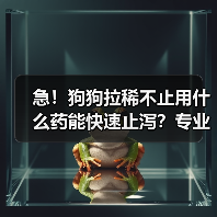 急！狗狗拉稀不止用什么药能快速止泻？专业解答来了（图4）