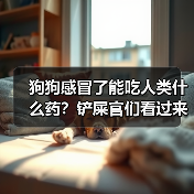 狗狗感冒了能吃人类什么药？铲屎官们看过来！（图4）
