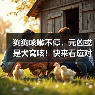 狗狗咳嗽不停，元凶或是犬窝咳！快来看应对攻略（图2）