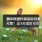 猫咪舔塑料袋是缺微量元素？这3大误区可能耽误病情（图4）