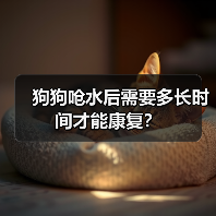狗狗呛水后需要多长时间才能康复?(图1) 狗狗呛水后需要多长时间才能康复?(图1)