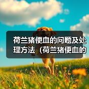荷兰猪便血的问题及处理方法(荷兰猪便血的原因、危险性和应对措施)(图3) 荷兰猪便血的问题及处理方法(荷兰猪便血的原因、危险性和应对措施)(图3)