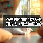 荷兰猪便血的问题及处理方法(荷兰猪便血的原因、危险性和应对措施)(图4) 荷兰猪便血的问题及处理方法(荷兰猪便血的原因、危险性和应对措施)(图4)