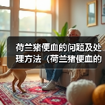 荷兰猪便血的问题及处理方法(荷兰猪便血的原因、危险性和应对措施)(图1) 荷兰猪便血的问题及处理方法(荷兰猪便血的原因、危险性和应对措施)(图1)