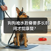 狗狗呛水后需要多长时间才能康复?(图4) 狗狗呛水后需要多长时间才能康复?(图4)