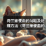 荷兰猪便血的问题及处理方法(荷兰猪便血的原因、危险性和应对措施)(图2) 荷兰猪便血的问题及处理方法(荷兰猪便血的原因、危险性和应对措施)(图2)