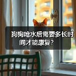 狗狗呛水后需要多长时间才能康复?(图2) 狗狗呛水后需要多长时间才能康复?(图2)