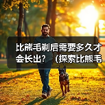比熊毛剃后需要多久才会长出?(探索比熊毛剃后生长周期的奥秘)(图4) 比熊毛剃后需要多久才会长出?(探索比熊毛剃后生长周期的奥秘)(图4)