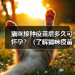 猫咪接种疫苗后多久可怀孕?(了解猫咪疫苗接种与怀孕之间的时间间隔)(图3) 猫咪接种疫苗后多久可怀孕?(了解猫咪疫苗接种与怀孕之间的时间间隔)(图3)