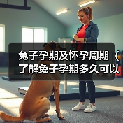 兔子孕期及怀孕周期（了解兔子孕期多久可以怀孕的关键因素）（图4）