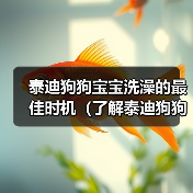 泰迪狗狗宝宝洗澡的最佳时机（了解泰迪狗狗宝宝洗澡的适宜年龄和频率）