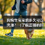狗狗生宝宝后多久可以洗澡?(了解正确的时间和方法来给母狗和新生幼犬洗澡。)(图4) 狗狗生宝宝后多久可以洗澡?(了解正确的时间和方法来给母狗和新生幼犬洗澡。)(图4)