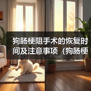 狗肠梗阻手术的恢复时间及注意事项(狗肠梗阻手术后需要多久恢复正常?如何加速康复?)(图2) 狗肠梗阻手术的恢复时间及注意事项(狗肠梗阻手术后需要多久恢复正常?如何加速康复?)(图2)