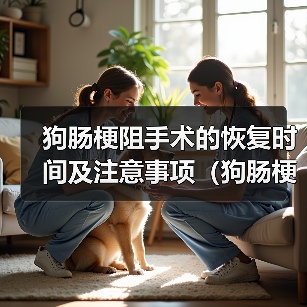 狗肠梗阻手术的恢复时间及注意事项(狗肠梗阻手术后需要多久恢复正常?如何加速康复?)(图4) 狗肠梗阻手术的恢复时间及注意事项(狗肠梗阻手术后需要多久恢复正常?如何加速康复?)(图4)