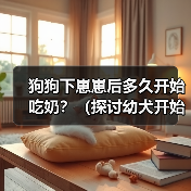 狗狗下崽崽后多久开始吃奶？（探讨幼犬开始进食母乳的时机及需求量）