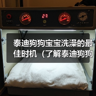 泰迪狗狗宝宝洗澡的最佳时机(了解泰迪狗狗宝宝洗澡的适宜年龄和频率)(图4) 泰迪狗狗宝宝洗澡的最佳时机(了解泰迪狗狗宝宝洗澡的适宜年龄和频率)(图4)
