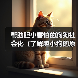 帮助胆小害怕的狗狗社会化（了解胆小狗的原因与训练技巧，促进狗狗社交能力的发展）