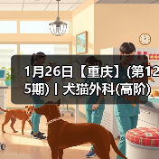 1月26日【重庆】(第125期)丨犬猫外科(高阶)班!含SUB(人人可实操)、乳糜胸等技术!(图4) 1月26日【重庆】(第125期)丨犬猫外科(高阶)班!含SUB(人人可实操)、乳糜胸等技术!(图4)