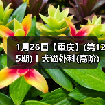 1月26日【重庆】(第125期)丨犬猫外科(高阶)班!含SUB(人人可实操)、乳糜胸等技术!(图3) 1月26日【重庆】(第125期)丨犬猫外科(高阶)班!含SUB(人人可实操)、乳糜胸等技术!(图3)