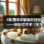 8张图带你解锁新技能——膀胱切开术(附手术视频)(图1) 8张图带你解锁新技能——膀胱切开术(附手术视频)(图1)