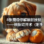 8张图带你解锁新技能——膀胱切开术(附手术视频)(图4) 8张图带你解锁新技能——膀胱切开术(附手术视频)(图4)