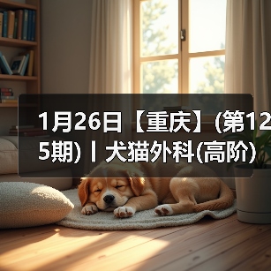 1月26日【重庆】(第125期)丨犬猫外科(高阶)班!含SUB(人人可实操)、乳糜胸等技术!(图2) 1月26日【重庆】(第125期)丨犬猫外科(高阶)班!含SUB(人人可实操)、乳糜胸等技术!(图2)