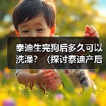 泰迪生完狗后多久可以洗澡?(探讨泰迪产后洗澡的最佳时间及相关注意事项)(图1) 泰迪生完狗后多久可以洗澡?(探讨泰迪产后洗澡的最佳时间及相关注意事项)(图1)