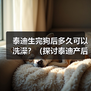 泰迪生完狗后多久可以洗澡?(探讨泰迪产后洗澡的最佳时间及相关注意事项)(图3) 泰迪生完狗后多久可以洗澡?(探讨泰迪产后洗澡的最佳时间及相关注意事项)(图3)