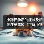 小狗怀孕后的症状及相关注意事项(了解小狗怀孕后的身体变化,保障母狗与幼犬健康成长)(图4) 小狗怀孕后的症状及相关注意事项(了解小狗怀孕后的身体变化,保障母狗与幼犬健康成长)(图4)