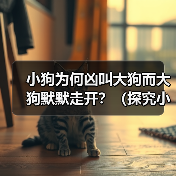 小狗为何凶叫大狗而大狗默默走开?(探究小狗与大狗之间的行为差异)(图3) 小狗为何凶叫大狗而大狗默默走开?(探究小狗与大狗之间的行为差异)(图3)