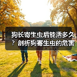 狗长寄生虫后能活多久？剖析狗寄生虫的危害及预防方法（了解狗寄生虫对狗健康的影响，提前预防保护宠物）