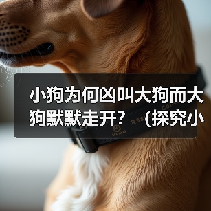 小狗为何凶叫大狗而大狗默默走开？（探究小狗与大狗之间的行为差异）