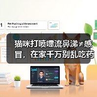 猫咪打喷嚏流鼻涕≠感冒，在家千万别乱吃药！（图2）
