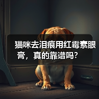 猫咪去泪痕用红霉素眼膏，真的靠谱吗？（图1）