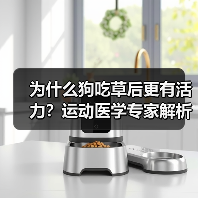 为什么狗吃草后更有活力？运动医学专家解析肠道健康关联（图3）