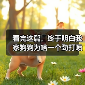 看完这篇,终于明白我家狗狗为啥一个劲打喷嚏了(图2) 看完这篇,终于明白我家狗狗为啥一个劲打喷嚏了(图2)